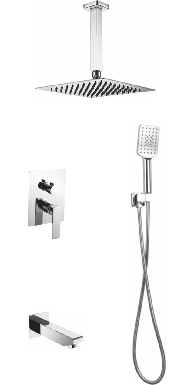 Three function shower set