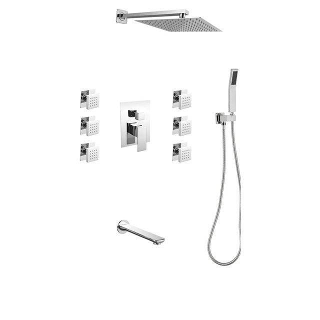 Four function shower set