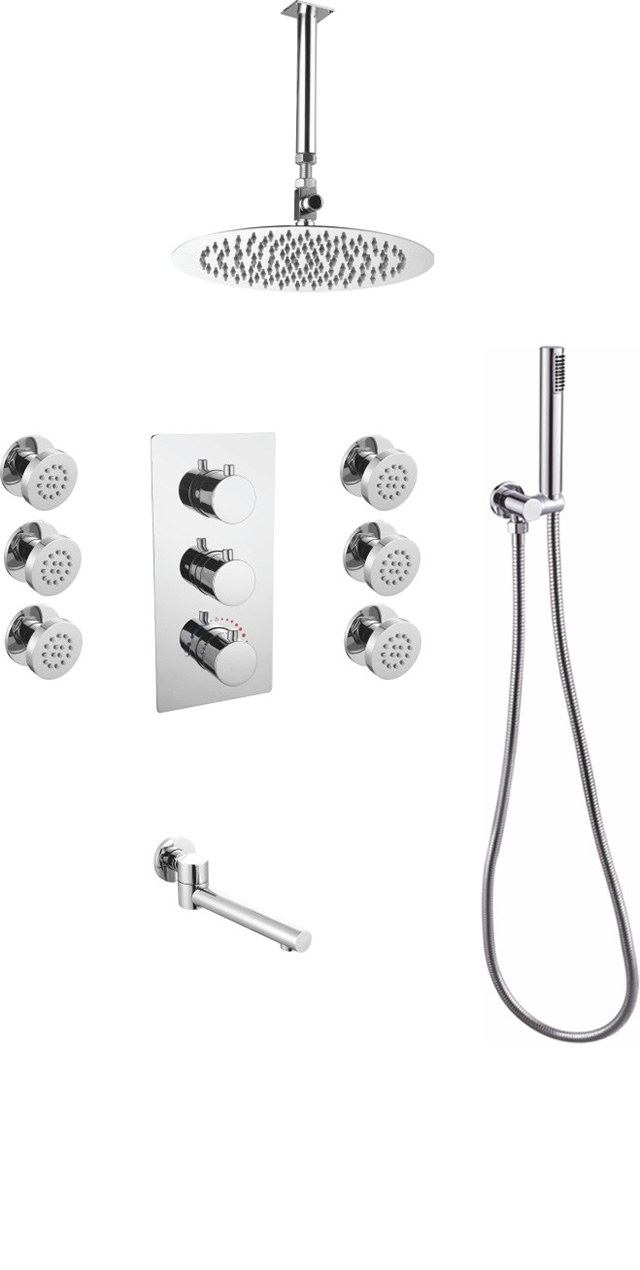 Four function shower set