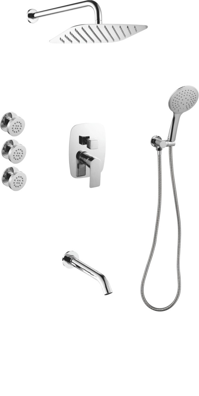 Four function shower set