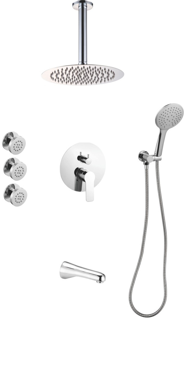 Four function shower set