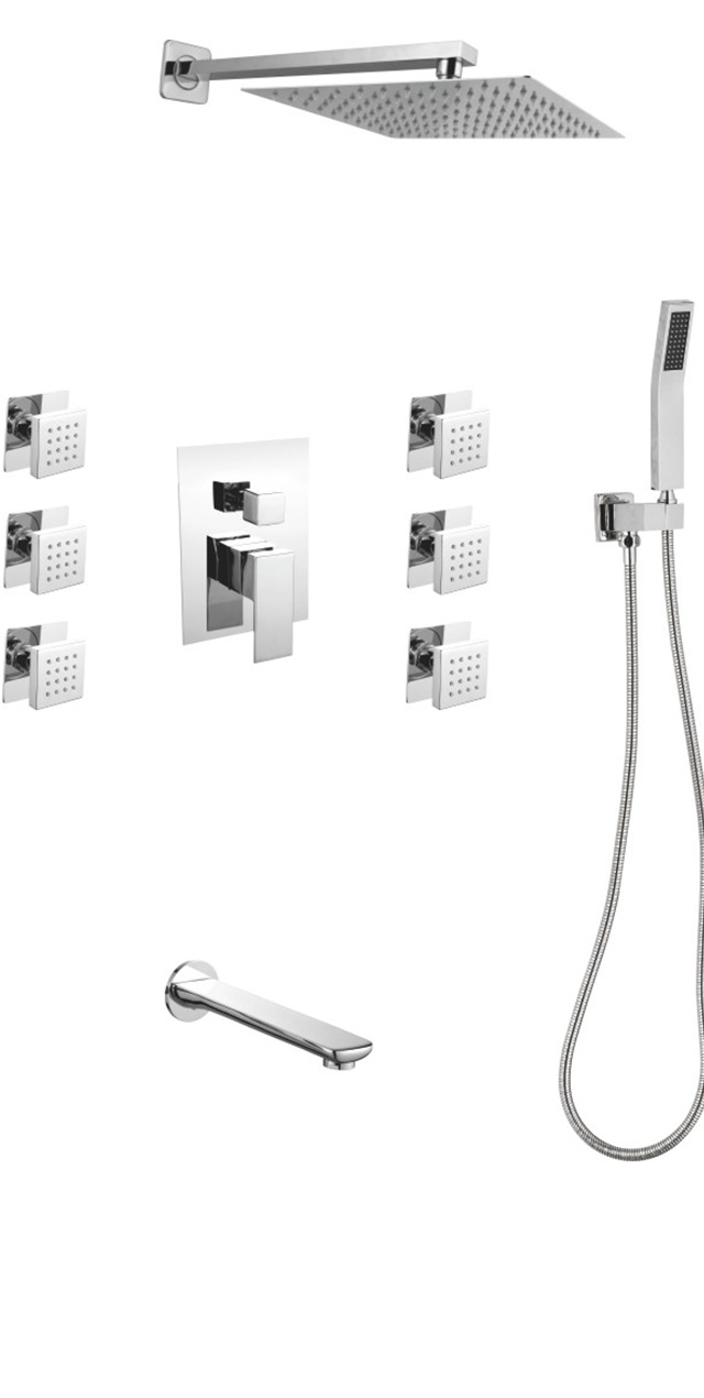 Four function shower set