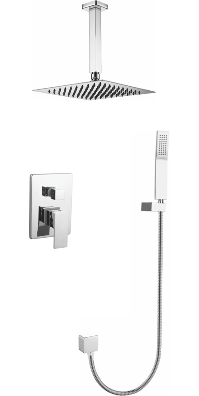 Two function shower set