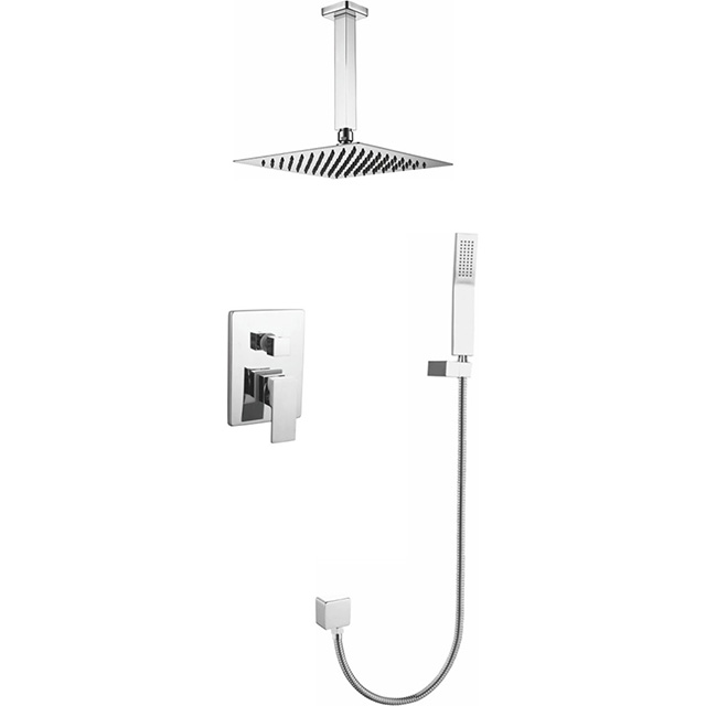 Two function shower set