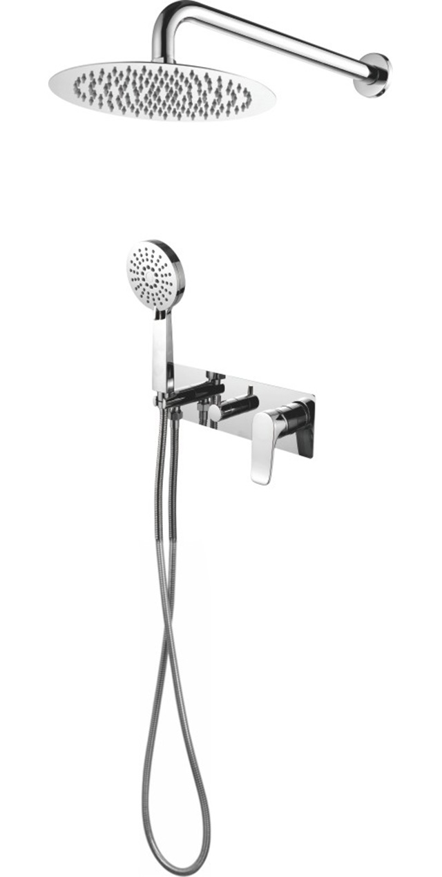 Two function shower set