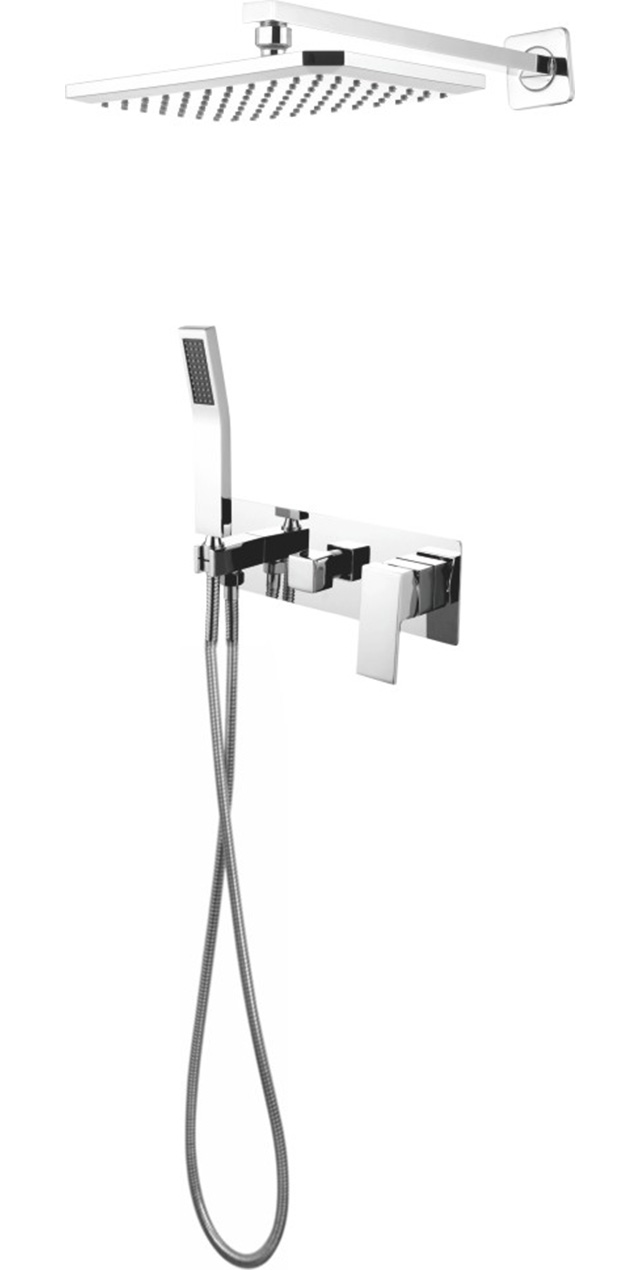 Two function shower set