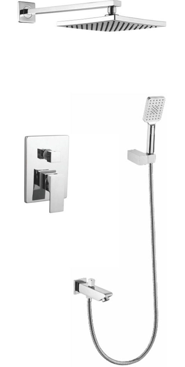 Two function shower set