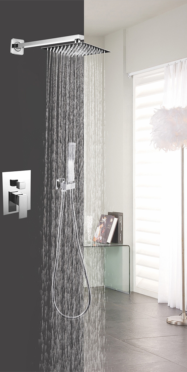 Two function shower set