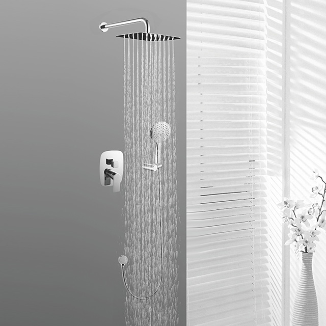 Two function shower set