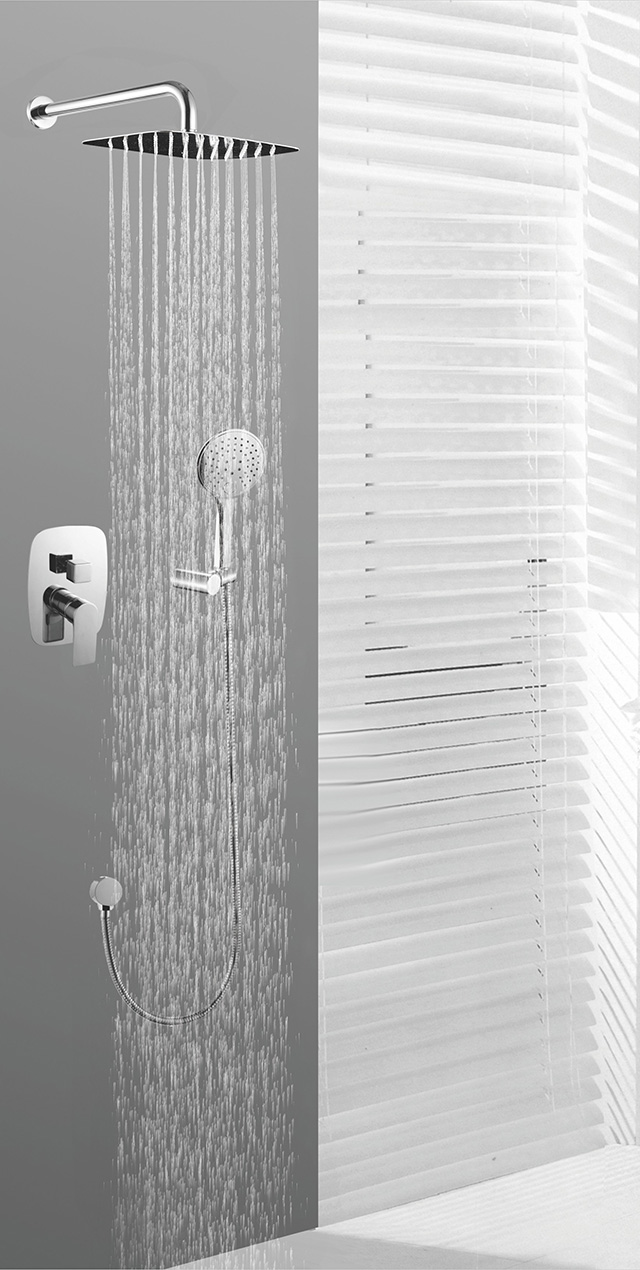 Two function shower set