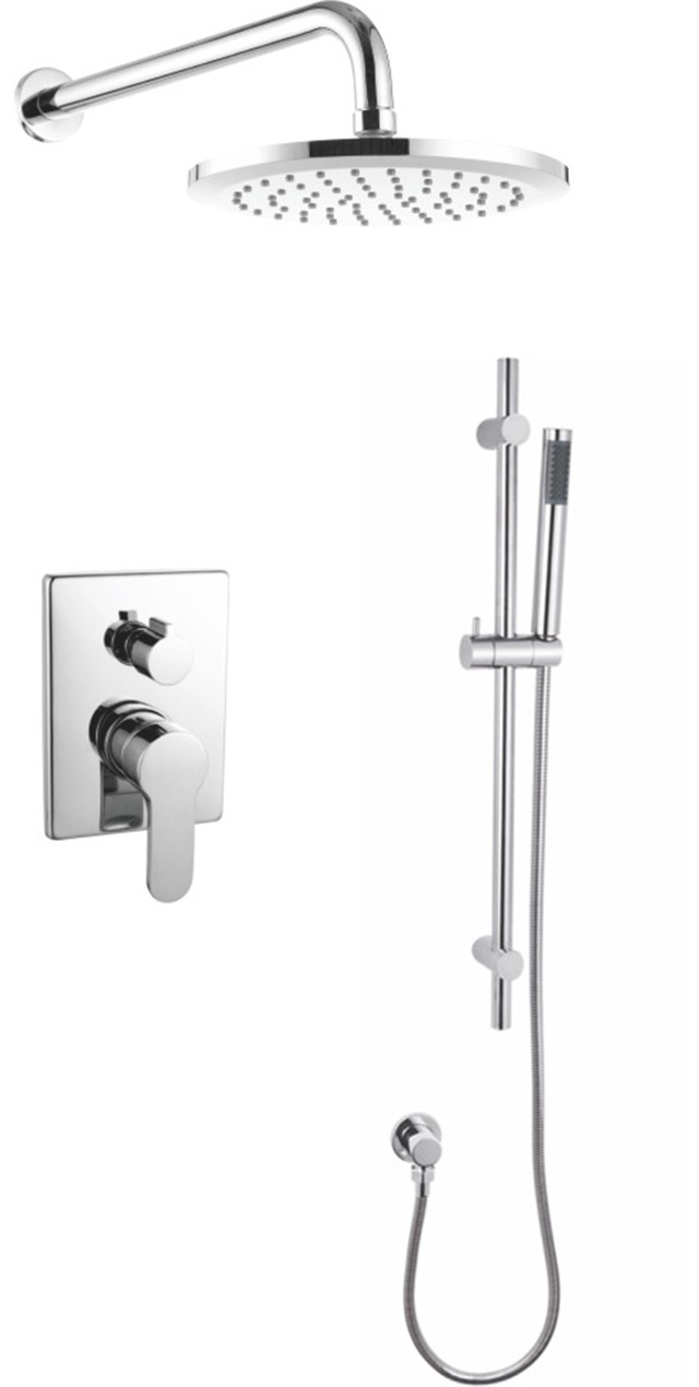 Two function shower set