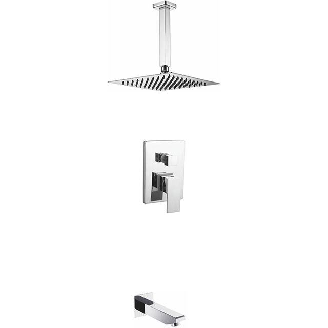 Two function shower set