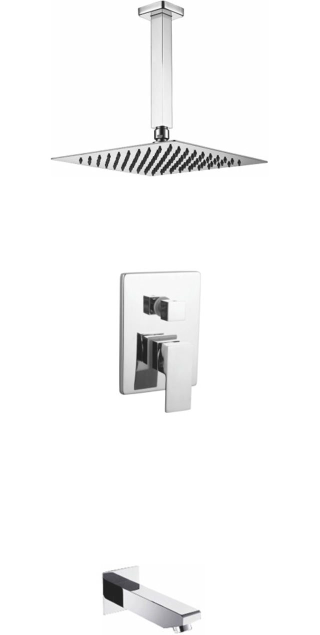 Two function shower set