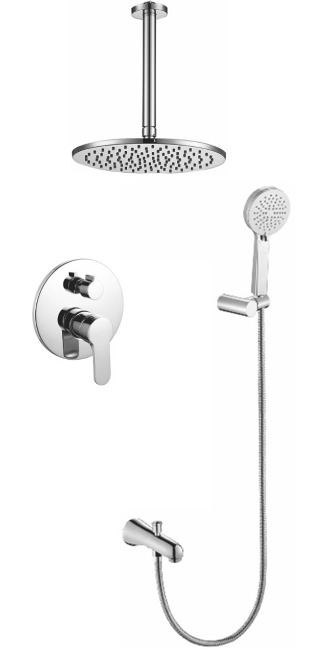 Two function shower set