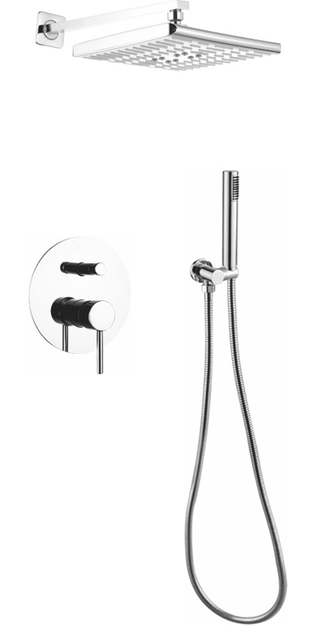 Two function shower set