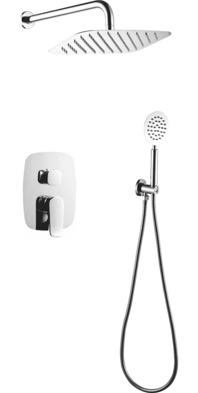 Two function shower set