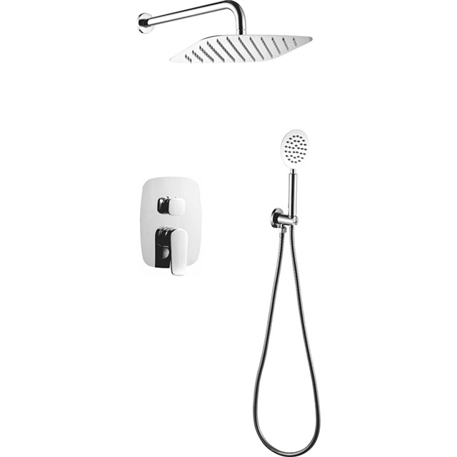 Two function shower set