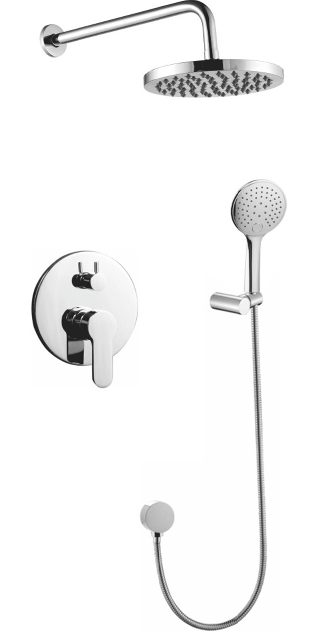 Two function shower set