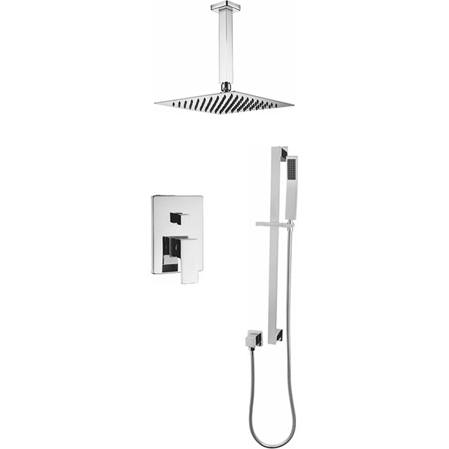 Two function shower set