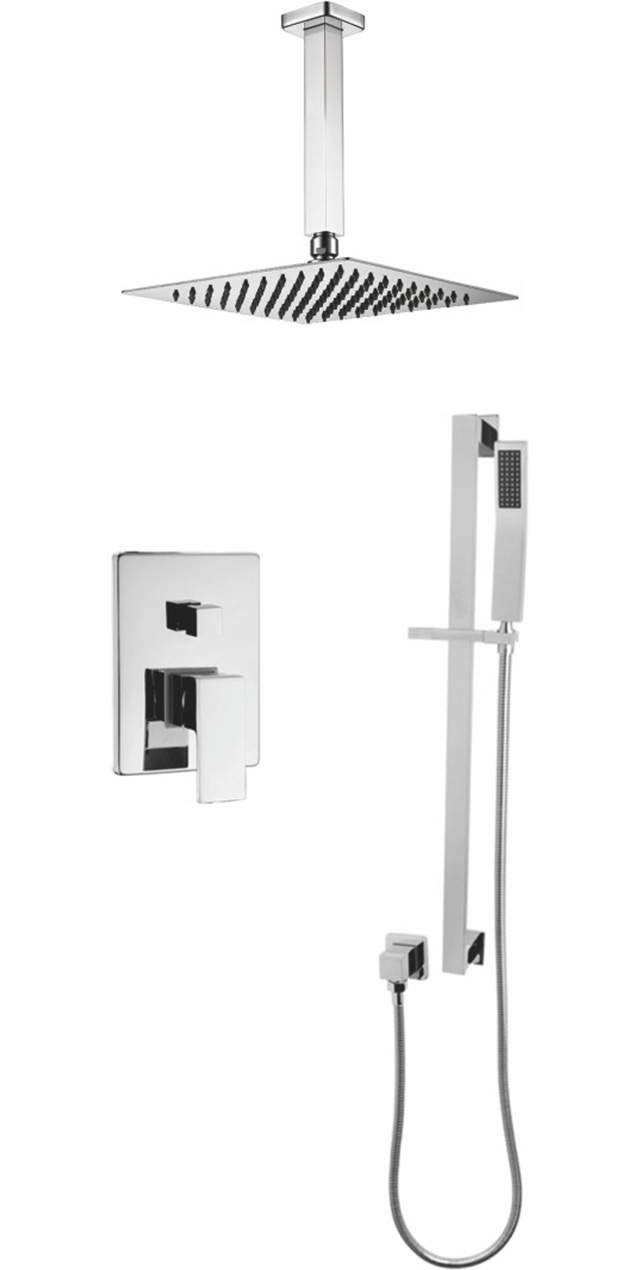 Two function shower set