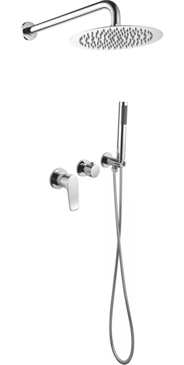 Two function shower set