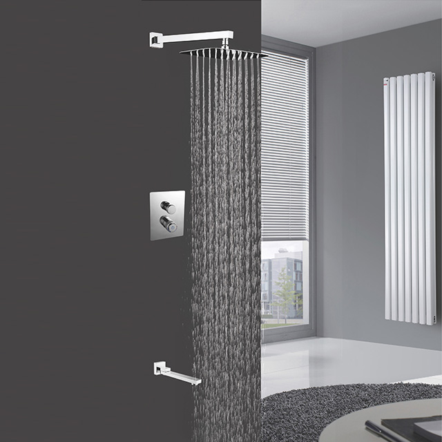 Two function shower set