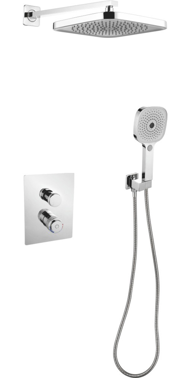 Two function shower set