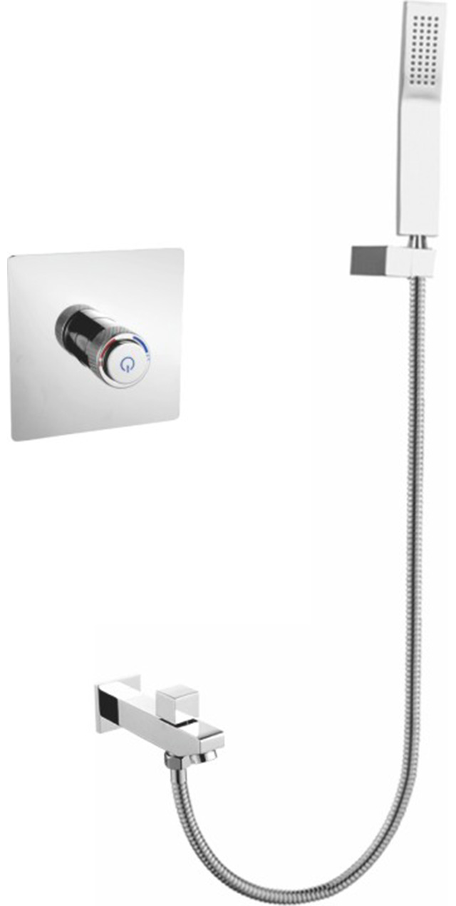 Two function shower set