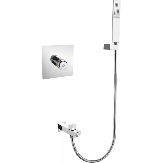 Two function shower set