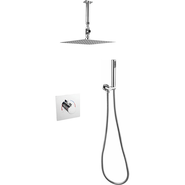 Two function shower set