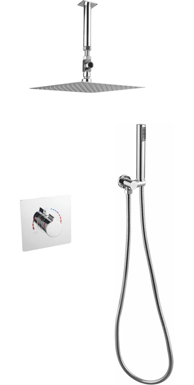 Two function shower set