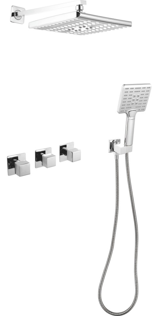 Two function shower set