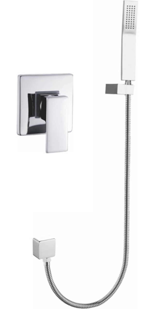 One function shower set