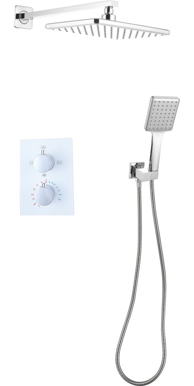 Two function constant temperature shower set