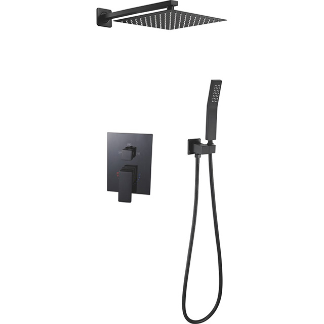 Two function shower set