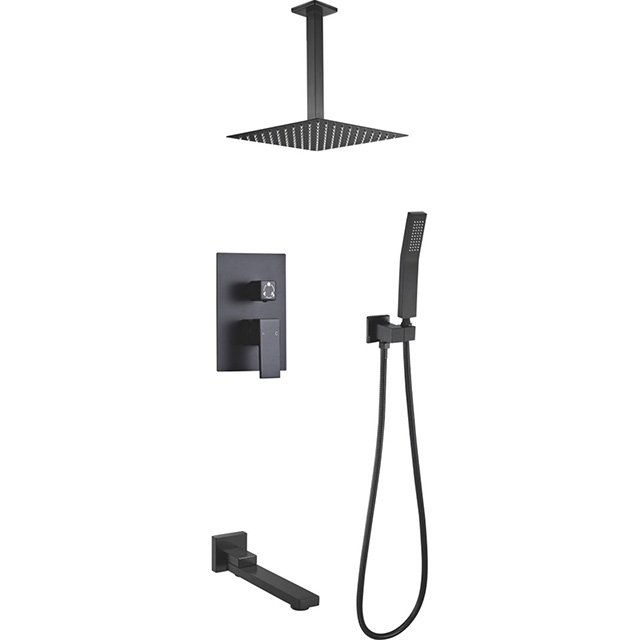 Three function shower set