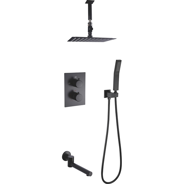 Three function shower set