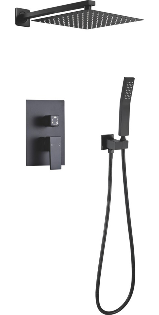 Two function shower set