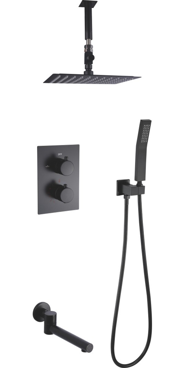 Three function shower set