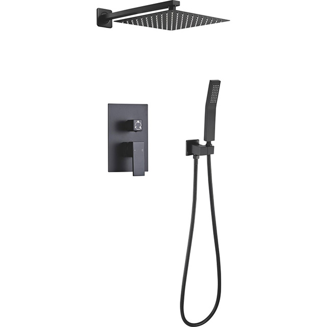 Two function shower set