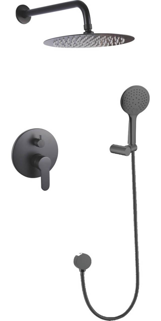 Two function shower set