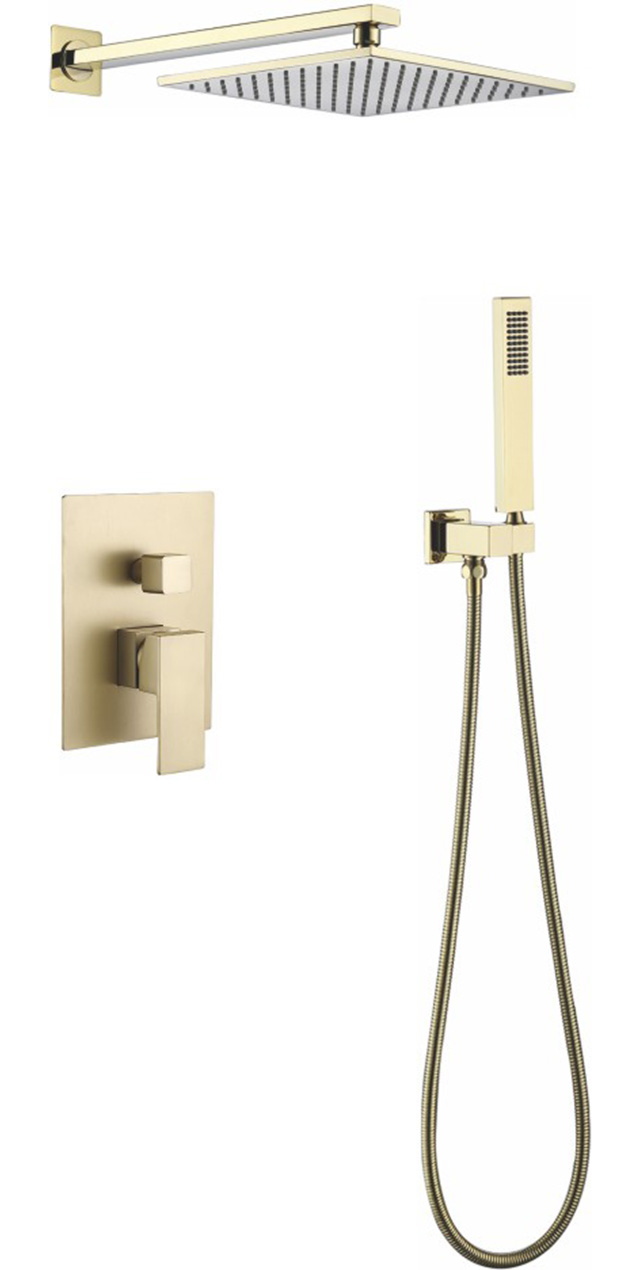 Two function shower set