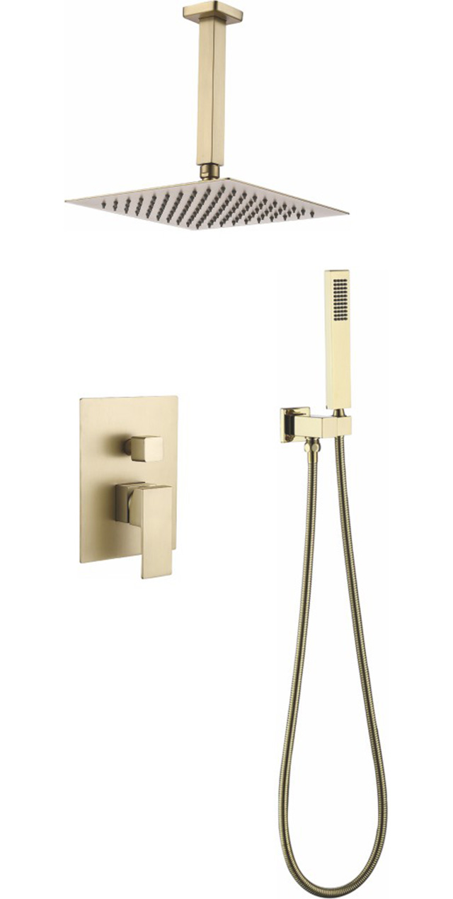 Two function shower set