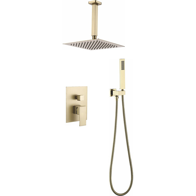 Two function shower set