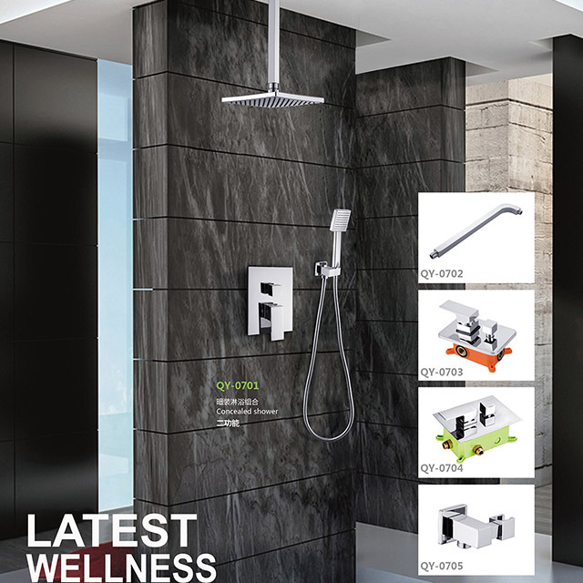 Two function shower set