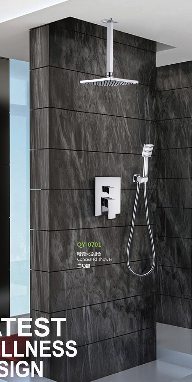 Two function shower set