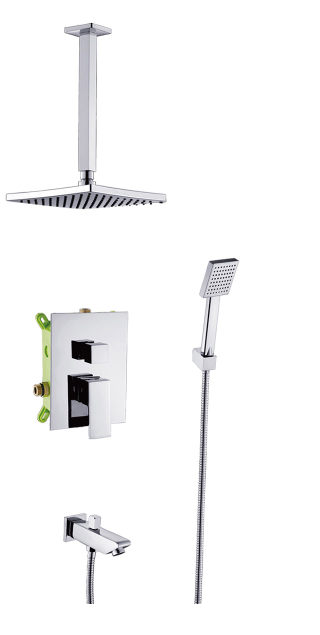 Two function shower set