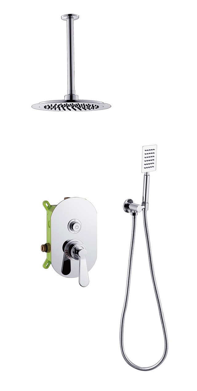 Two function shower set