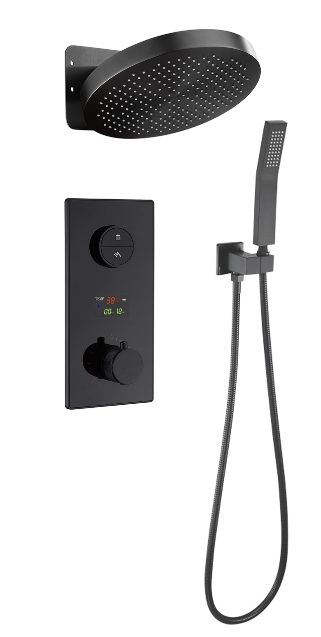 Two function shower set