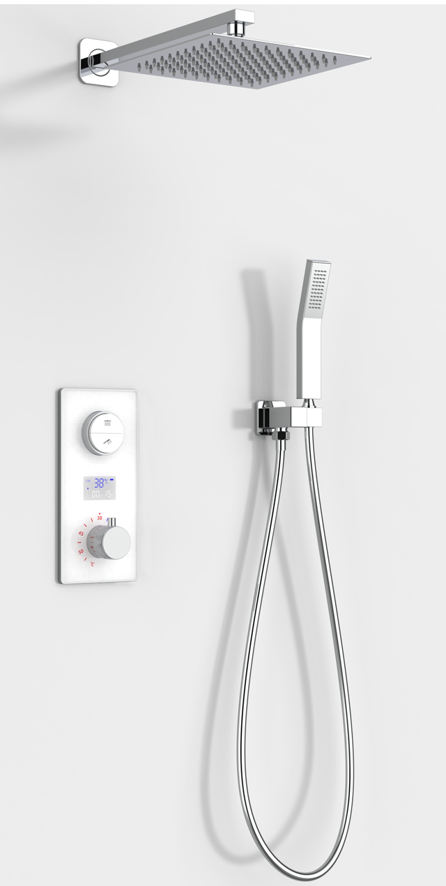 Two function shower set